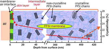 Graphical abstract: Evidence for a crystallite-rich skin on perfluorosulfonate ionomer membranes
