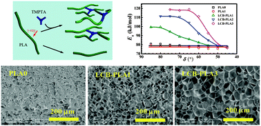 Graphical abstract: Bimodal architecture and rheological and foaming properties for gamma-irradiated long-chain branched polylactides