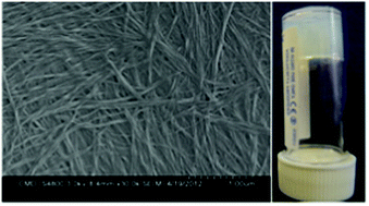 Graphical abstract: Salt-induced hydrogels from functionalised-dipeptides