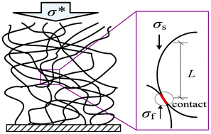 Graphical abstract: Rheological model predicting compressive responses of carbon nanotube networks