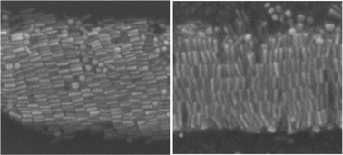 Graphical abstract: Controllable orientation of assembled gold nanorods on unstructured substrates