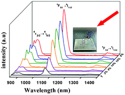 Graphical abstract: Near-infrared luminescent hybrid materials – PMMA doped with a neodymium complex: synthesis, structure and photophysical properties