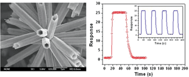 Graphical abstract: Gas sensing properties of self-assembled ZnO nanotube bundles