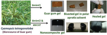 Graphical abstract: Solvent responsive healing of guar gum and guar gum–multiwalled carbon nanotube nanocomposite gels prepared in an ionic liquid