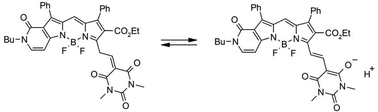 Graphical abstract: Boradipyrromethenecyanines on the base of a BODIPY nucleus annelated with a pyridone ring: a new approach to long-wavelength dual fluorescent probe design