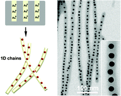 Graphical abstract: In situ template synthesis of one-dimensional gold nanoparticle arrays in organic nanowires