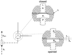 Graphical abstract: Gas penetration through pneumatically driven PDMS micro valves
