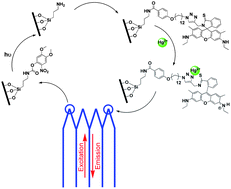 Graphical abstract: Photochemical functionalisation of optical nanotips with a rhodamine chemosensor for remote through-fiber detection of Hg2+