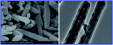 Graphical abstract: Highly-controllable imprinted polymer nanoshell at the surface of magnetic halloysite nanotubes for selective recognition and rapid adsorption of tetracycline
