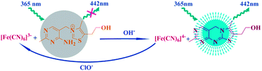 Graphical abstract: Enhanced spectrofluorimetric determination of hypochlorite based on the catalytic oxidation of thiamine to thiochrome in the presence of trace ferrocyanide