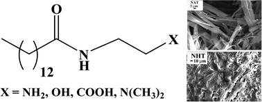 Graphical abstract: Comparison of the gelation behaviour of N-substituted tetradecanamide amphiphiles in organic liquids: effect of hydrogen-bonding ability of the head-group
