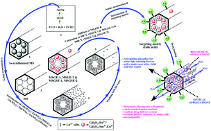 Graphical abstract: Mesoporous silica: a highly promising and compatible candidate for optical and biomedical applications