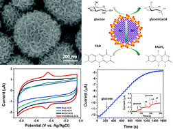 Graphical abstract: Electrodeposition of hierarchical MnO2 spheres for enzyme immobilization and glucose biosensing