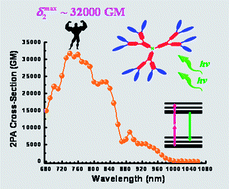 Graphical abstract: Synthesis and characterization of a highly two-photon active dendrimer derived from 2,3,8-trifunctionalized indenoquinoxaline units
