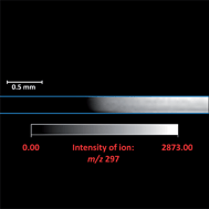 Graphical abstract: Characterisation of a micro-plasma for ambient mass spectrometry imaging