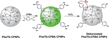 Graphical abstract: Functionalized lanthanide coordination polymer nanoparticles for selective sensing of hydrogen peroxide in biological fluids