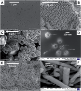 Graphical abstract: Electrodeposited gold–copper core–shell nanowires for high sensitivity DNA detection