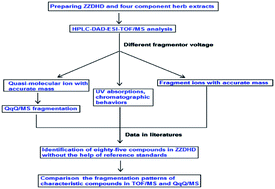 Graphical abstract: An effective integrated method for comprehensive identification of eighty-five compounds in Zhi-Zi-Da-Huang decoction by HPLC-DAD-ESI-MS (TOF) and HPLC-DAD-ESI-MS/MS (QqQ) without the help of reference standards