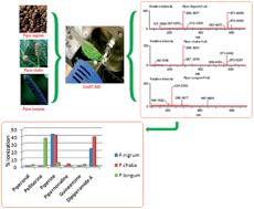 Graphical abstract: Metabolic profiling of Piper species by direct analysis using real time mass spectrometry combined with principal component analysis
