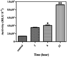 Graphical abstract: Adherent state apoptosis assay (ASA): a fast and reliable method to detect apoptosis in adherent cells