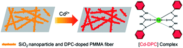 Graphical abstract: SiO2 nanoparticles and diphenylcarbazide doped polymethylmethacrylate electrospun fibrous film for Cd2+ colorimetric detection