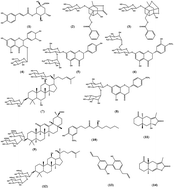 Graphical abstract: Simultaneous determination of 14 bioactive compounds in Samchulkunbi-tang using HPLC-DAD and LC-MS
