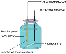 Graphical abstract: Electromembrane extraction followed by high performance liquid chromatography: an efficient method for extraction and determination of morphine, oxymorphone, and methylmorphine from urine samples