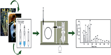 Graphical abstract: Vortex-assisted extraction in tandem with dispersive liquid–liquid microextraction followed by GC-MS for determination of Achillea wilhelmsii essential oil