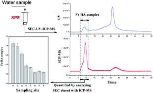 Graphical abstract: A solid phase extraction method for analysis of the iron–humic acid complex in natural water