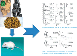 Graphical abstract: Comparative pharmacokinetic and tissue distribution study of baicalin, baicalein, wogonoside, wogonin and oroxylin-A after oral administration of Component compatibility of SHT and total flavonoids fractions of Radix scutellariae to rats