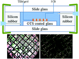 Graphical abstract: Real-time liquid crystal-based biosensor for urea detection
