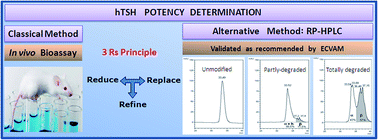 Graphical abstract: Reversed-phase high performance liquid chromatography as an alternative to animal bioassay for human thyrotropin potency determination