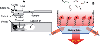 Graphical abstract: Real-time monitoring of DNA hybridization for rapid detection of Vibrio cholerae O1