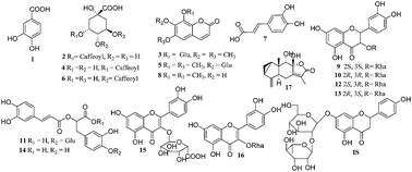 Graphical abstract: Simultaneous quantification of 17 bioactive constituents in Sarcandra glabra by liquid chromatography-electrospray ionisation-mass spectrometry