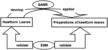 Graphical abstract: A simple and sensitive method for the simultaneous determination of six constituents in hawthorn leaves