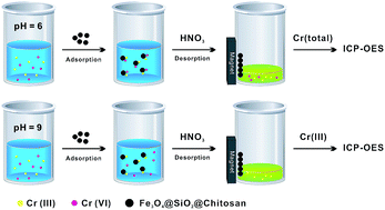 Graphical abstract: Chitosan modified magnetic nanoparticles based solid phase extraction combined with ICP-OES for the speciation of Cr(iii) and Cr(vi)