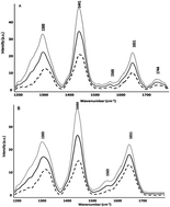 Graphical abstract: Raman spectroscopic studies of oral cancers: correlation of spectral and biochemical markers