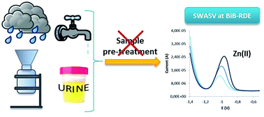 Graphical abstract: Applicability of the bismuth bulk rotating disk electrode for heavy metal monitoring in undisturbed environmental and biological samples: determination of Zn(ii) in rainwater, tap water and urine