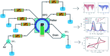 Graphical abstract: A versatile and robust electrochemical flow cell with a boron-doped diamond electrode for simultaneous determination of Zn2+ and Pb2+ ions in water samples