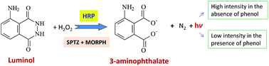 Graphical abstract: Chemiluminescent assay of phenol in wastewater using HRP-catalysed luminol oxidation with and without enhancers