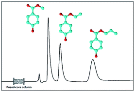 Graphical abstract: A flow injection low-pressure chromatographic system exploiting fused-core columns