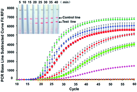 Graphical abstract: On-point detection of GM rice in 20 minutes with pullulan as CPA acceleration additive