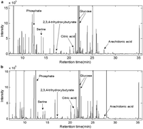 Graphical abstract: A combination of GC-MS and chemometrics reveals metabolic differences between serum and plasma