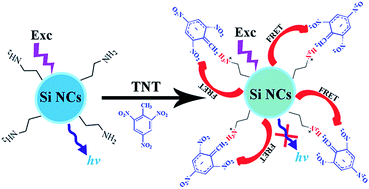 Graphical abstract: A highly sensitive fluorescence assay for 2,4,6-trinitrotoluene using amine-capped silicon quantum dots as a probe