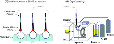 Graphical abstract: Improving the extraction of headspace volatile compounds: development of a headspace multi-temperature solid-phase micro-extraction-single shot-gas chromatography/mass spectrometry (mT-HSSPME-ss-GC/MS) method and application to characterization of ground coffee aroma