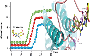 Graphical abstract: Binding interactions between prazosin and α1A-adrenoceptor: investigation on the thermodynamic behaviors and the binding mechanism by high performance affinity chromatography