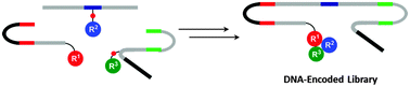 Graphical abstract: A DNA-templated synthesis of encoded small molecules by DNA self-assembly