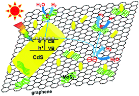 Graphical abstract: Noble-metal-free photocatalysts MoS2–graphene/CdS mixed nanoparticles/nanorods morphology with high visible light efficiency for H2 evolution