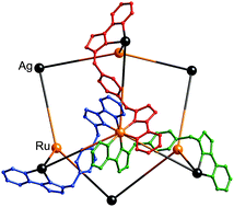 Graphical abstract: Stepwise assembly of an adamantoid Ru4Ag6 cage by control of metal coordination geometry at specific sites