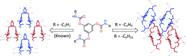 Graphical abstract: An unsaturated hydrogen bonded network generated from three-fold symmetric carbamates